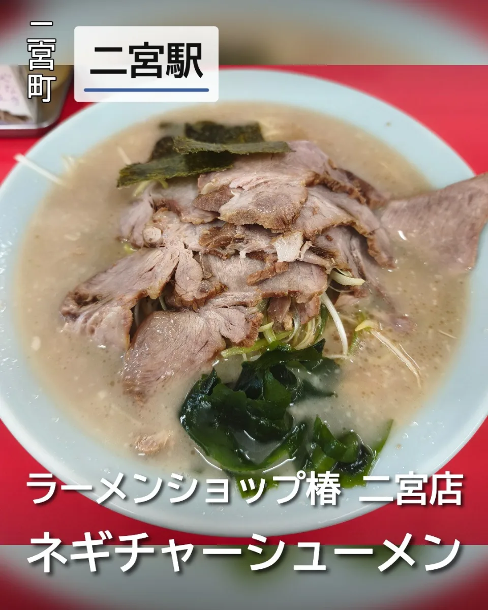 ラーメンショップ椿 二宮店のネギチャーシューメン。背脂が浮かぶ豚骨醤油スープに白髪ネギと肉厚チャーシューが盛られた一杯